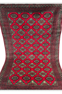 All over Solid Bokhara Handknotted Carpet
