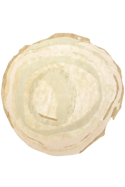 Circular Motion Beige Handknotted Carpet