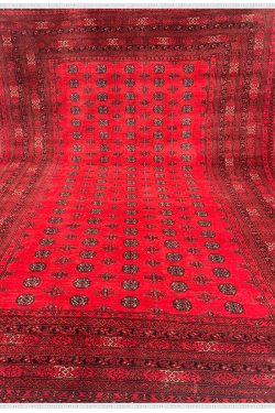 Large Afghani Cherry Bokhara Handknotted Area Rug