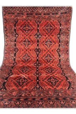 Baluch Afghan Handknotted Wool Carpet