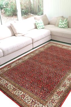 Ivory Bidjar Bagh Wool Area Rug