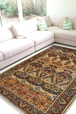 Sharook Vase Area Rug