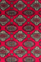 All over Solid Bokhara Handknotted Carpet