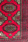 All over Solid Bokhara Handknotted Carpet