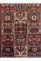Multi Color Box Caucasian Afghan Handknotted Carpet