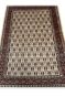 All over Pattern Senneh Wool Handmade Rug