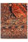 Baluch Afghan Handknotted Wool Carpet