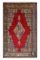 Hamadan Lal Diamond Persian Wool Carpet