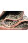 Salmon Pink Handknotted Pendant Carpet