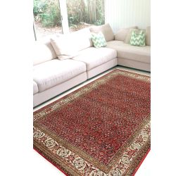 Ivory Bidjar Bagh Wool Area Rug