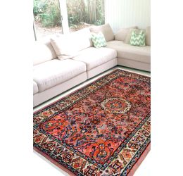 Salmon Chakra Kashan Handmade Carpet