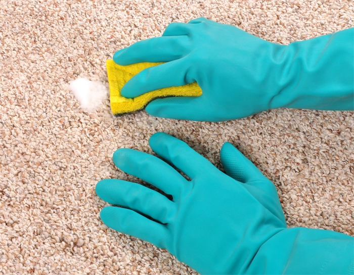 Wool Carpet cleaning